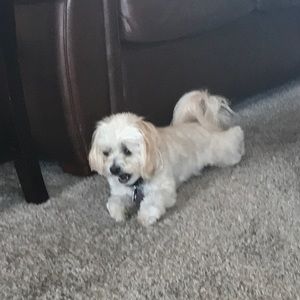 Meet your Posher, Jack